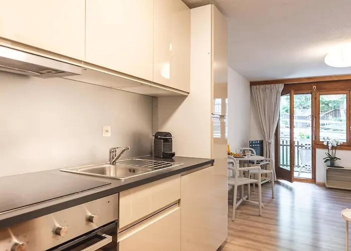 - Well Located And Equipped Apartment Zermatt