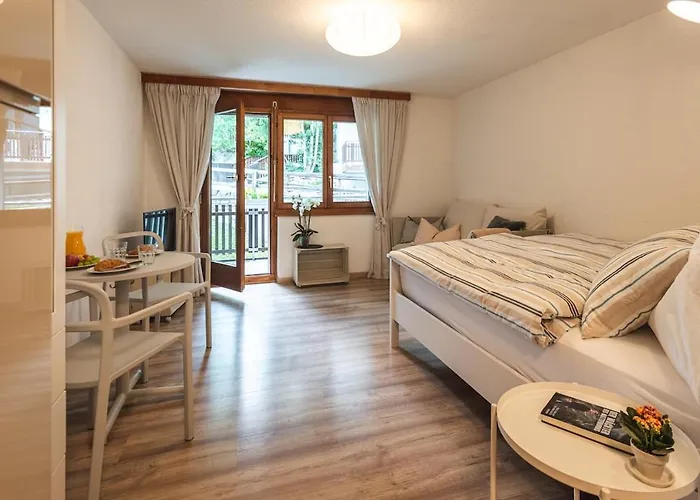 - Well Located And Equipped Appartement Zermatt